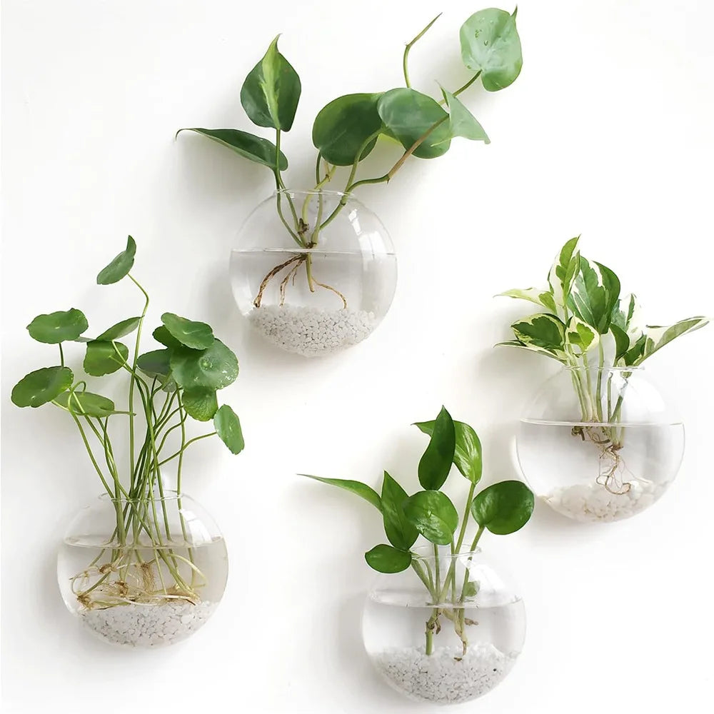 🌿 Floating Glass Wall Planter Vases
