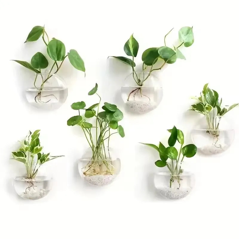 🌿 Floating Glass Wall Planter Vases
