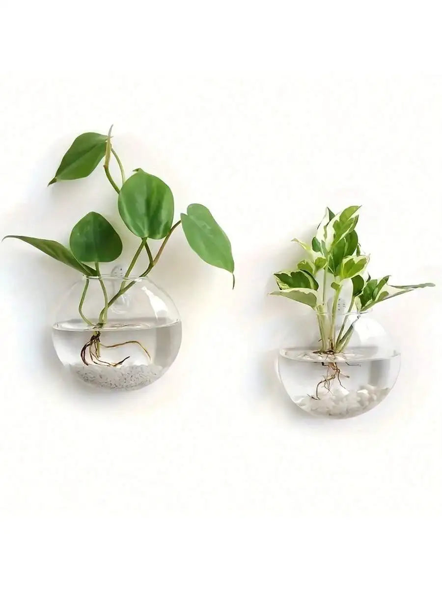 🌿 Floating Glass Wall Planter Vases