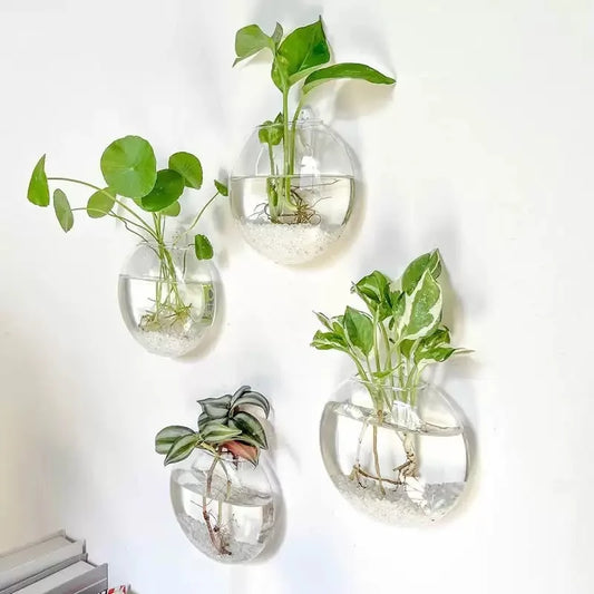 🌿 Floating Glass Wall Planter Vases